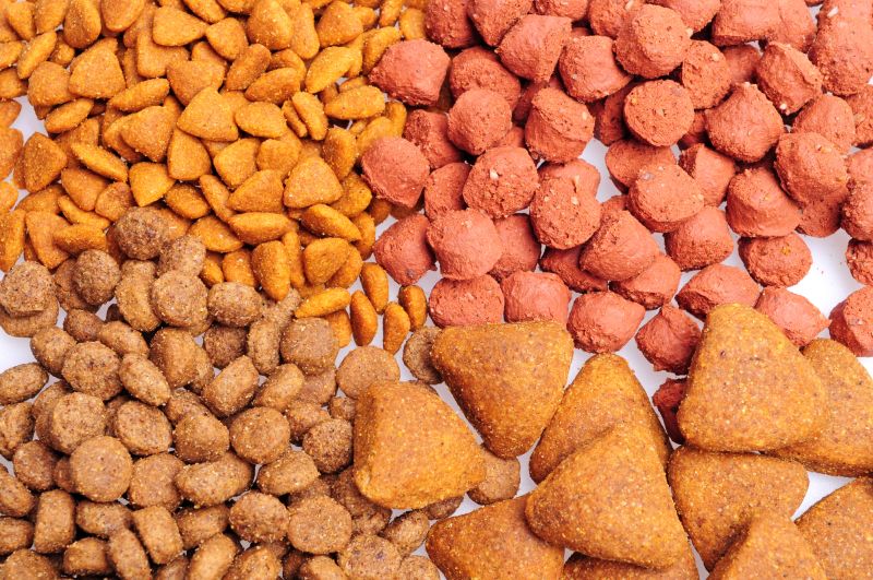 The Ultimate Guide to Choosing the Best Dry Dog Food Friend Name